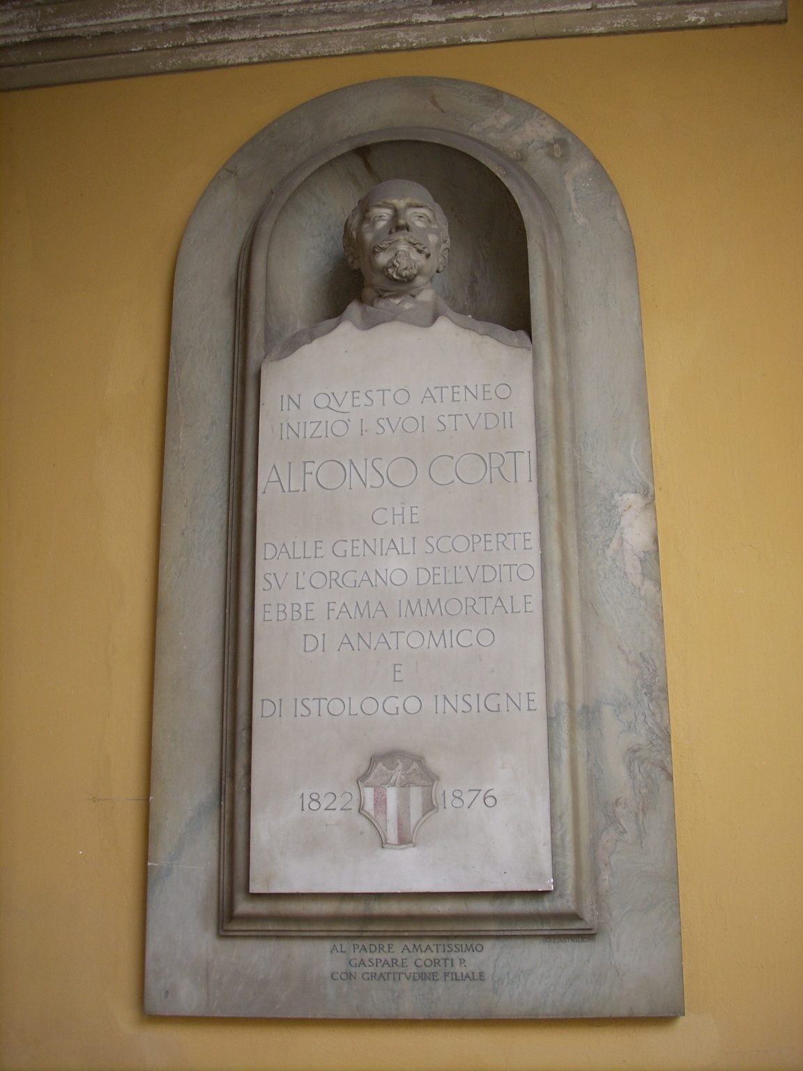 Alfonso%20Corti%20monument%20University%20Pavia%20-%2001.jpg